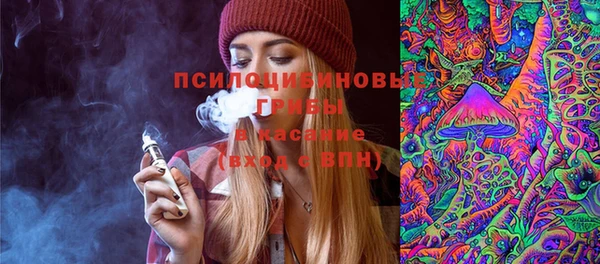 спайс Арсеньев