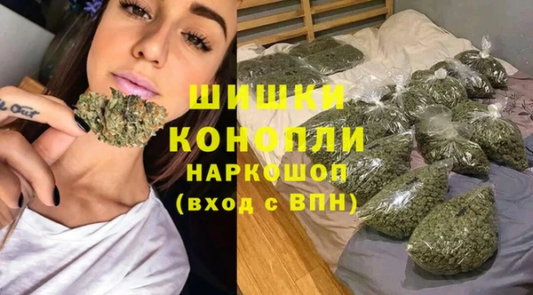 спайс Арсеньев