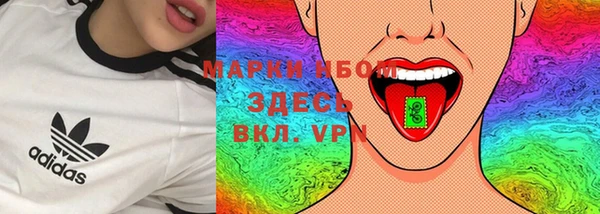 спайс Арсеньев