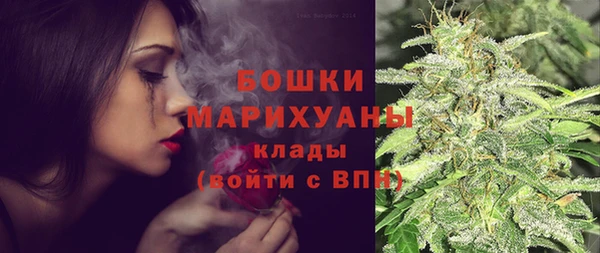 MESCALINE Аркадак
