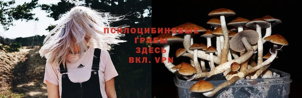 спайс Арсеньев
