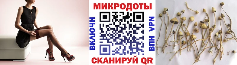 Псилоцибиновые грибы Magic Shrooms  Купить где  Бийск 
